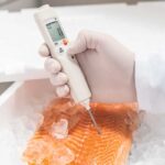 ترمومتر نفوذی Testo 106 کد 05601063